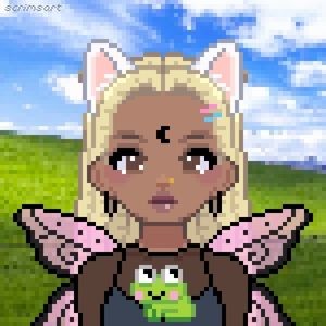 Meet your Posher, Anaya